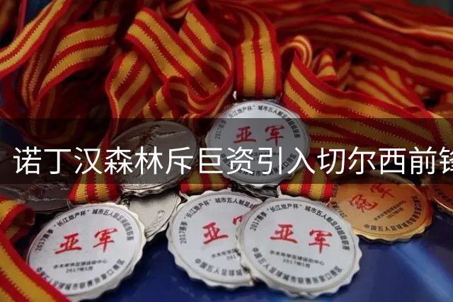 诺丁汉森林斥巨资引入切尔西前锋德拉普